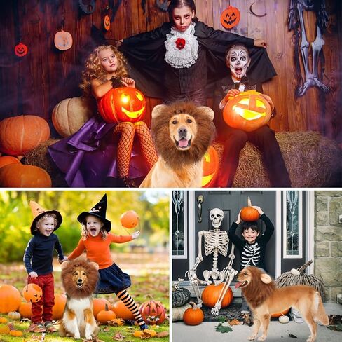 Vivifying Lion Mane for Dog, Adjustable Halloween Dog Lion Costume Wig with Ears for Medium and Large Dogs, Realistic & Funny Dog Accessory Perfect for Parties and Photoshoots (Large, Brown&Black) in Kuwait