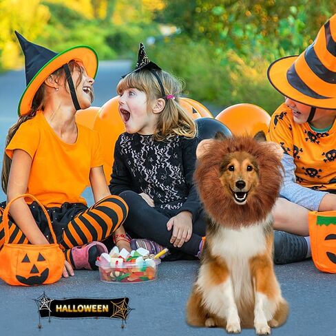 Vivifying Lion Mane for Dog, Adjustable Halloween Dog Lion Costume Wig with Ears for Medium and Large Dogs, Realistic & Funny Dog Accessory Perfect for Parties and Photoshoots (Large, Brown&Black) in Kuwait
