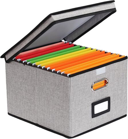 EOOUT File Organizer Box, 1pcs with Lid, Hanging File Folders, Letter Size, Collapsible Document Organizer, Home Office, Gray in Saudi Arabia