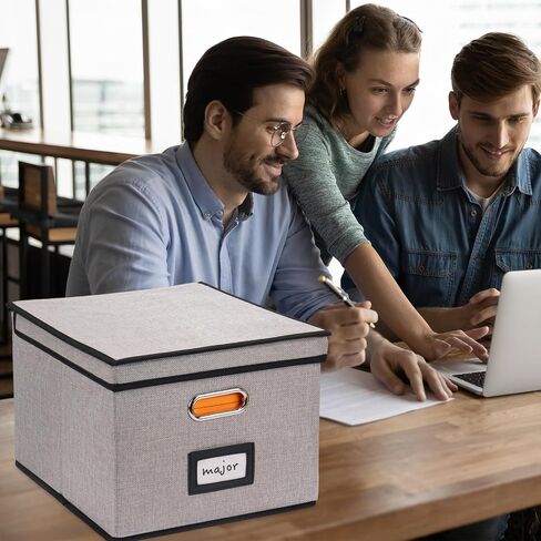 EOOUT File Organizer Box, 1pcs with Lid, Hanging File Folders, Letter Size, Collapsible Document Organizer, Home Office, Gray in Saudi Arabia