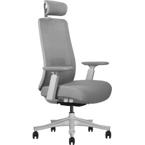 Ergonomic Home & Office Chair with High Back for Desk, Adjustable Lumbar Support, Comfortable with Backrest Tilt Function Water Resistant Seat Fabric and Soft PU 3D Armrests (B1, Black)