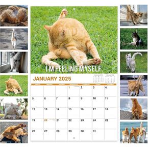 2025 Wall Calendar - Funny Calendar 2025 with Cat's Balls, Jan 2025 - Dec 2025, 12" x 24" (Open), White Elephant Gifts, Funny Gag Gift Calendar 2025, Glossy Paper
