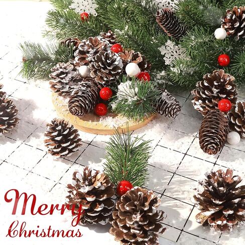 hatisan 115Pcs Christmas Pine Cones Berry Pine Branch Set White Christmas Decorations for DIY Crafts Home Xmas Tree Gift Party Supplies, Assorted Sizes in Saudi Arabia