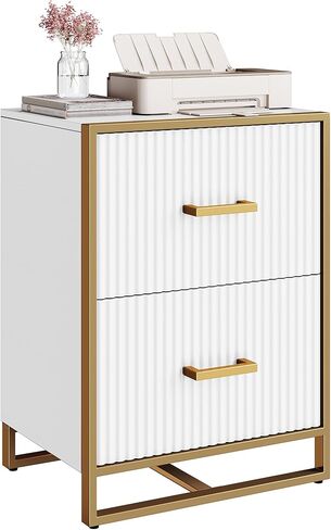 DWVO 28 خزانة ملفات عميقة ذات درجين، خزانة ملفات عمودية مع أدراج، أثاث تخزين المكاتب المنزلية، ذهبي وأبيض in Kuwait