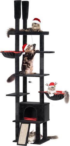 Large Cat Tree Floor to Ceiling for Large Cats, Tall Cat Tower Adjustable (87''-108''=220-274cm), Cat Climb Tree with Cat Condo, Cat Hammock and Scratching Post for Indoor Cats - Cactus in Saudi Arabia