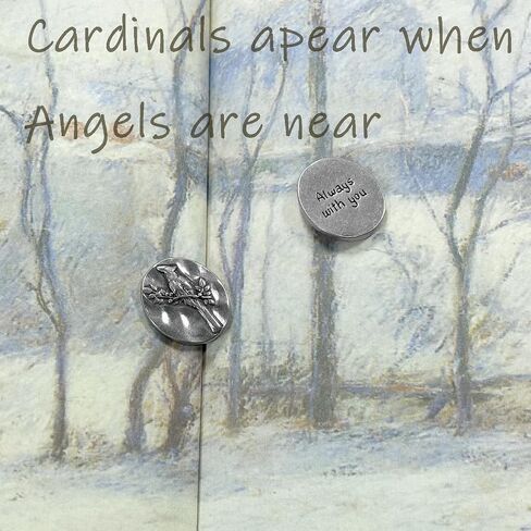 Cardinal Memorial Coin - Vintage Funeral Keepsakes for in Memory of Loved Ones - Pocket Angel Tokens Wedding Presents Remembrance Gifts (Silver/20pcs) in Saudi Arabia