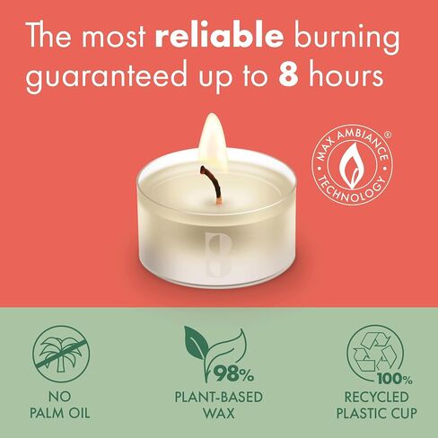 Bolsius Tealight Candles - Clear Cup - White - Box of 24 Transparent Tealights - Long Burning Time of 6 Hours - Interior Decoration - Unscented - Smokeless - Includes Natural Vegan Wax - No Palm Oil in Saudi Arabia