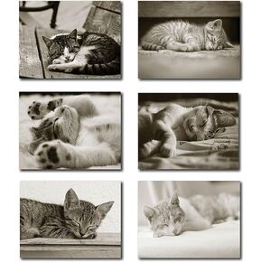 Small World Greetings Sleeping Kitten Cards 12 Count - Blank Inside with White Envelopes - A2 Size 5.5" x 4.25" - All Occasion