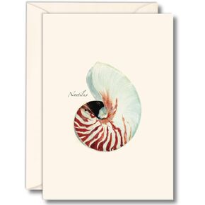 Earth Sky + Water - Nautilus Notecard Set - 8 Blank Cards with Envelopes