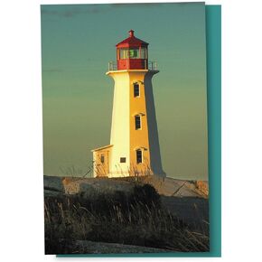 Tree-Free Greetings EcoNotes 12 Count Lighthouse Point All Occasion Notecard Set with Envelopes, 4 x 6 Inches (FS56931)