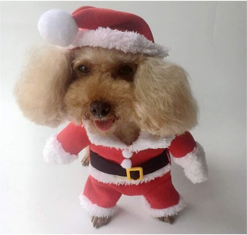 Pet Christmas Costumes Dog Cat Christmas Santa Suit Pet Cosplay Costumes (M) in Saudi Arabia