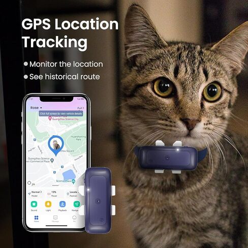 جهاز تعقب طوق P1 GPS للقطط (6.5 رطل+) - جهاز تعقب موقع الحيوانات الأليفة عبر نظام تحديد المواقع العالمي (GPS) لمنع فقدان أي مسافة محدودة، مقاوم للماء، تتبع في الوقت الحقيقي والنشاط الذكي، يناسب جميع أطواق الحيوانات الأليفة، أزرق in Kuwait