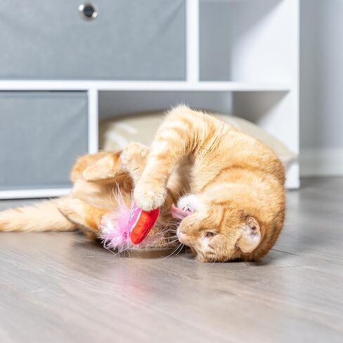 هكسلي آند كينت ألعاب القطط المكونة من قطعتين | شوكولاتة بالفراولة وقلب الكونفو | لعبة قطط قوية مملوءة بالنعناع البري | لعبة قطيفة ناعمة مع النعناع البري والتجعيد | كيتيبيلز in Kuwait