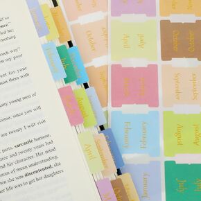 NEWEST 48 Pieces Monthly Tabs for Planners, Gold Foil Month Adhesive Tabs Morandi Planner Tabs Calendar Monthly Stickers Decorative for Office Study Planners Organizations, 12 Blank Index Tabs