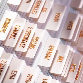 Bible Tabs for Women/Men/Kids, White Bible Tabs with Gold Foil Large Print Christian/Catholic Gift, Old and New Testament Bible Journaling Tabs