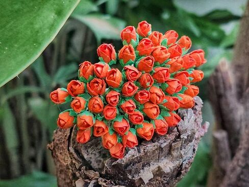 Mini Rose Bud Mulberry Paper Flower, Artificial Tiny Roses Flowers for Wedding Card Embellishment Scrapbook DIY Bouquet Crafts. (Red) in Kuwait