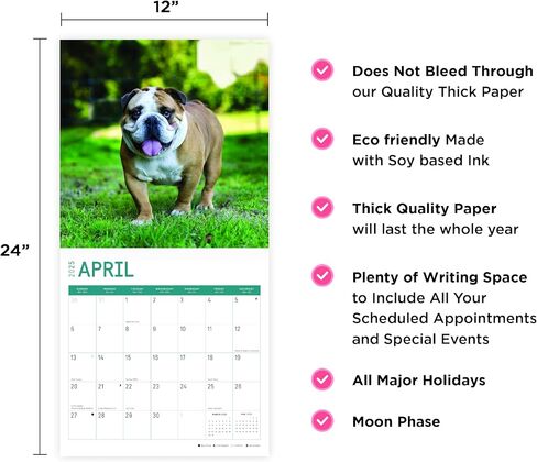 2025 Bulldogs Monthly Wall Calendar by Bright Day, 12 x 12 Inch Cute Dog Breed Gift in Saudi Arabia