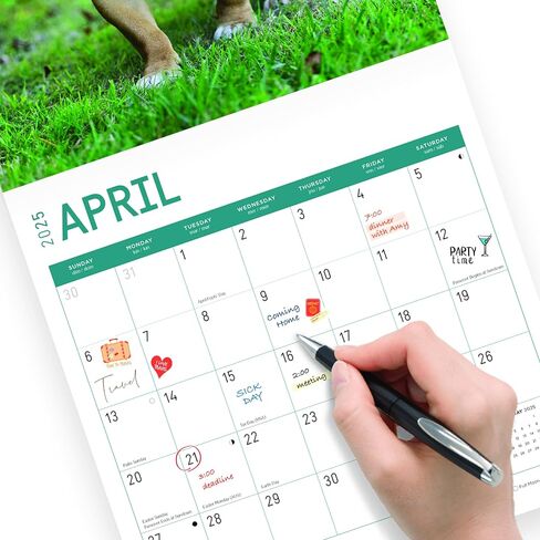2025 Bulldogs Monthly Wall Calendar by Bright Day, 12 x 12 Inch Cute Dog Breed Gift in Saudi Arabia