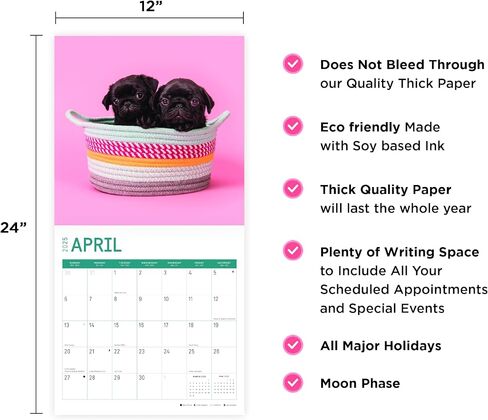 2025 Pug Puppies Monthly Wall Calendar by Bright Day, 12 x 12 Inch Cute Dog Breed Gift in Saudi Arabia