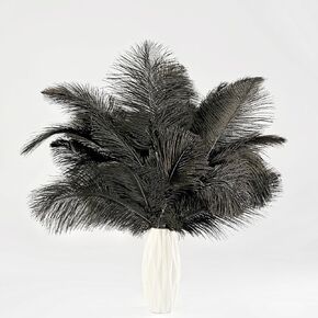 30pcs Natural Red Ostrich Feathers 8-10inch (20-25cm) Craft Ostrich Feather Mask Plume Bulk for hats Wedding Party Centerpieces,DIY Flower and Home Decoration,Pampas Grass Decor