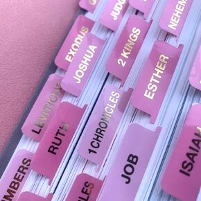 Pink Bible Tabs, Large Print Laminated Bible Tabs for Women and Men - Easy to Read Bible Book Tabs for Study Bible, Index Tabs for Old and New Testament, Bible Labels Tabs for Christians