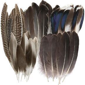 50Pcs Large Pheasant Feathers Decorations, Mixed Natural Pheasant Decors 5 Styles Striped Spotted Pheasant Feathers Bulk, Long Pheasant Feathers for Crafting DIY Home Party Parade Accessories