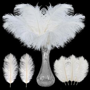Tigeen 200 Pcs White Ostrich Feathers Bulk 8-10 Inch/ 20-25 cm Small Ostrich Feathers for Home DIY Crafts Decoration Centerpieces Feather Decor for Vase Wedding Party Christmas Flower Arrangement