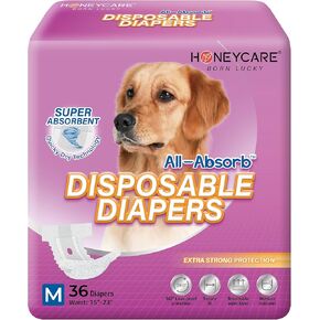 HONEY CARE All-Absorb Disposable Dog Diapers M Size, Improved Bigger Size, 36 Count, Super Absorbent, Breathable, Wetness Indicator