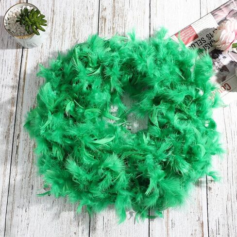HaiMay 2 Pack Turkey Feather Boa for Craft Clothes Party, 4.4 Yards 40G/60G/80G Feather Boas in Saudi Arabia