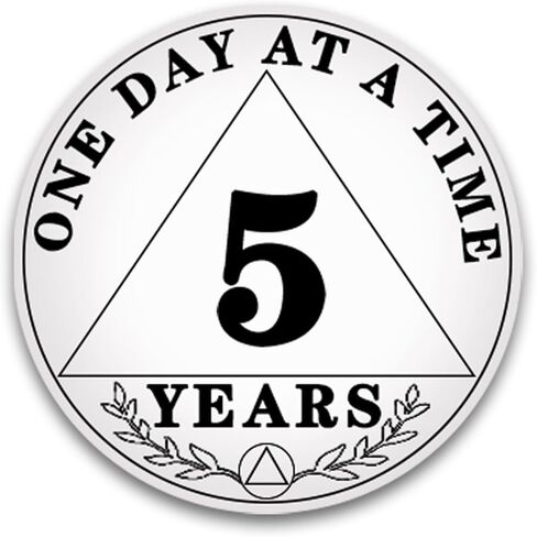 عملة الرصانة 3 سنوات من الذكرى السنوية الرصينة يوم واحد في كل مرة AA Recovery Medallion Chip Recovery Token NA OA هدايا رائعة للرصانة للرجال والنساء مدمني الكحول المجهولين من جلد البولي يوريثان متضمنة in Saudi Arabia