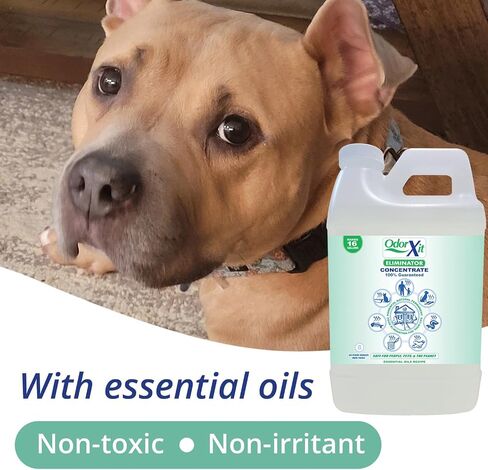 Eliminator, Versatile Natural Pet Odor Eliminator for Home and Outdoor Use, Cat and Dog Poo and Urine Smell Remover, Yard Odor, or Any Strong Odor, Ready to Use, 16oz in Kuwait