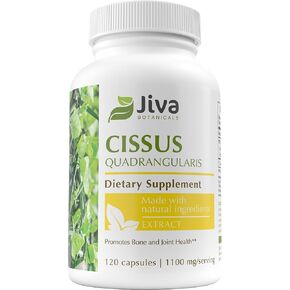 Jiva Botanicals Cissus Quadrangularis Capsules 1100 mg - Cissus Extract Capsules from Cissus Quadrangularis Plant - Support Normal Bone Health - High Potency Cissus Powder Extract - 120 Capsules