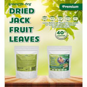 GR Premium Jackfruit Leaves, Pack of 60, Natural Dried Whole Leaves for Tea, Enhances Aquarium Water, Improves Tannin Levels, Ideal for Shrimp and Betta Fish (60 Leaves)