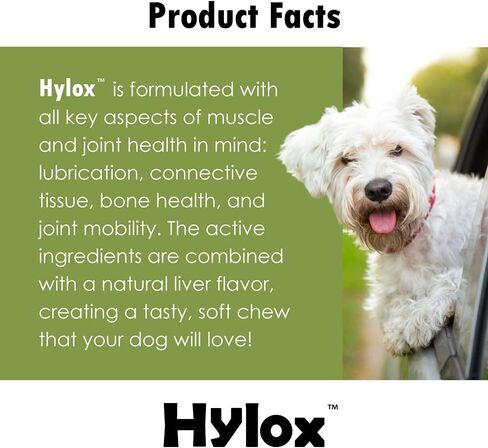 Dog Joint Supplement (240 Soft Chews) in Saudi Arabia