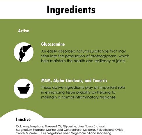 Dog Joint Supplement (240 Soft Chews) in Saudi Arabia