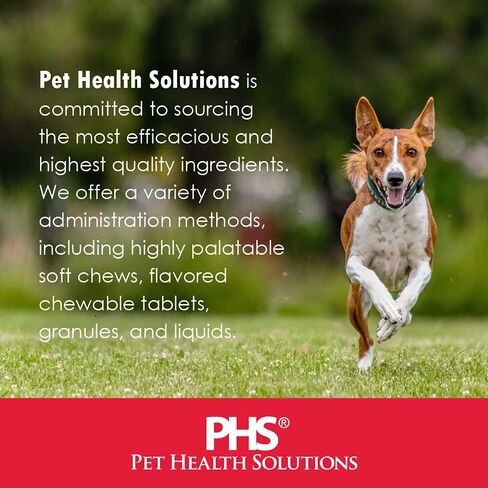 Dog Joint Supplement (240 Soft Chews) in Saudi Arabia