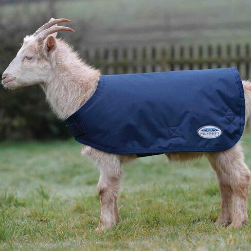 WeatherBeeta Goat Coat, Grey, Medium in Saudi Arabia