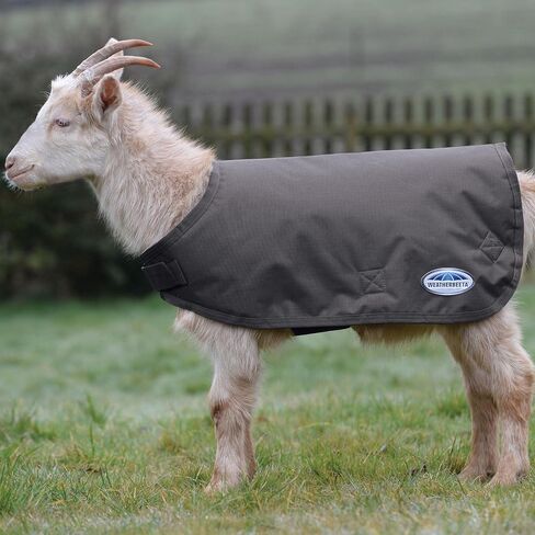 WeatherBeeta Goat Coat, Grey, Medium in Saudi Arabia