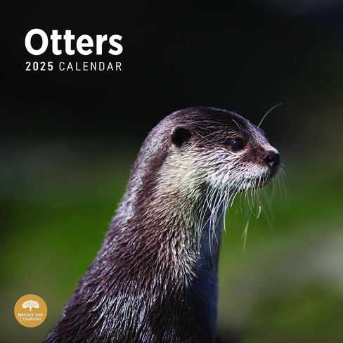 2025 Otters Monthly Wall Calendar by Bright Day, 12 x 12 Inch Cute Nature Photography Gift in Saudi Arabia