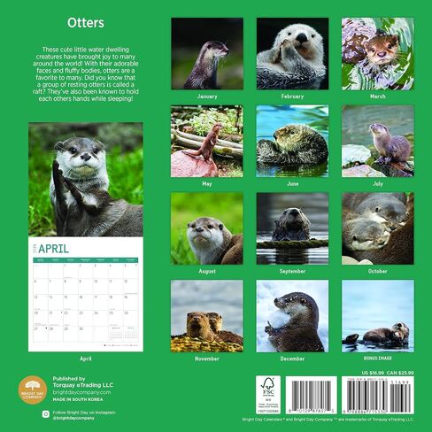 2025 Otters Monthly Wall Calendar by Bright Day, 12 x 12 Inch Cute Nature Photography Gift in Saudi Arabia