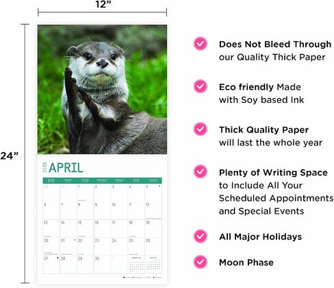 2025 Otters Monthly Wall Calendar by Bright Day, 12 x 12 Inch Cute Nature Photography Gift in Saudi Arabia