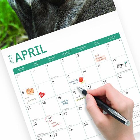2025 Otters Monthly Wall Calendar by Bright Day, 12 x 12 Inch Cute Nature Photography Gift in Saudi Arabia