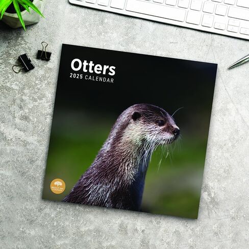 2025 Otters Monthly Wall Calendar by Bright Day, 12 x 12 Inch Cute Nature Photography Gift in Saudi Arabia