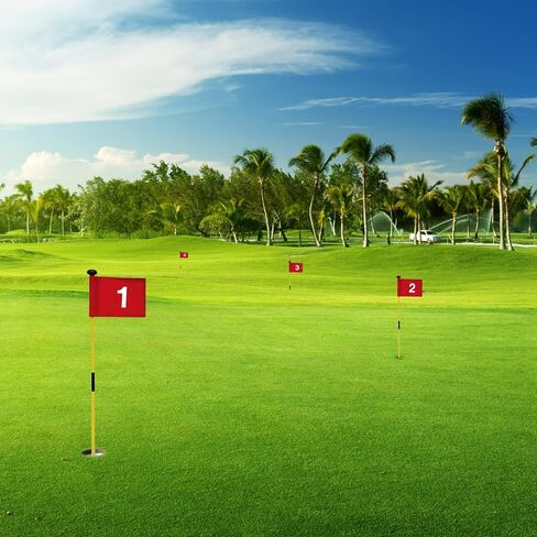 X·CELLENT Mini Golf Putting Green Flagstick for Yard Practice Set, Golf Pin Flagpole Set, Portable 2-Section Fiberglass Golf Flag Sticks,3 Feet (White Flagpole-3 Pack) in Kuwait