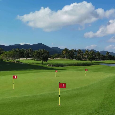 X·CELLENT Mini Golf Putting Green Flagstick for Yard Practice Set, Golf Pin Flagpole Set, Portable 2-Section Fiberglass Golf Flag Sticks,3 Feet (White Flagpole-3 Pack) in Kuwait