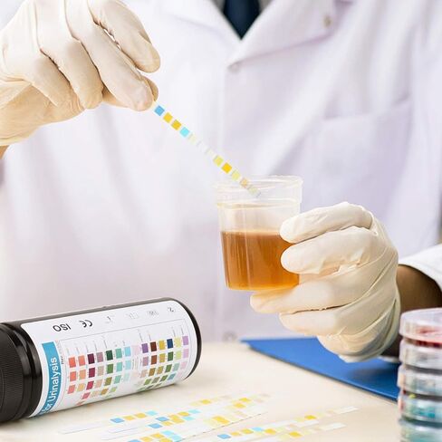 Urine Test Strips 14 Parameters 100 Count in Kuwait