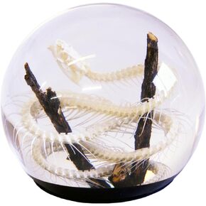 REALBUG 4" Snake Skeleton Globe