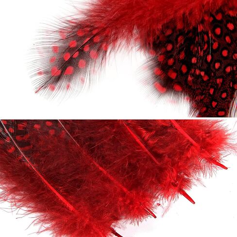 THARAHT Spotted Feathers 120pcs 2-3inch Small Natural Bulk Guinea Pheasant Feather for Crafts Hats Dream Catcher Decoration Feathers,Red in Saudi Arabia