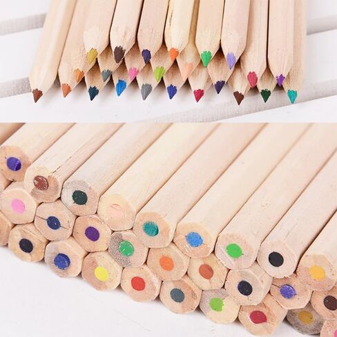 25 Packs/300pcs Mini Drawing Colored Pencils, 3.5 Inch Portable Painting Pencil for Kid 12 Different Color Pencils in Bulk, Painting Classroom School Birthday Wedding Party Favors in Saudi Arabia