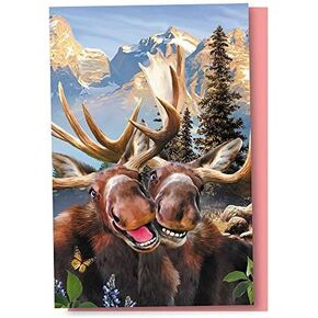 Tree-Free Greetings EcoNotes 12 Count Two Moose Selfie All Occasion Notecard Set with Envelopes, 4 x 6 Inches (FS56915)